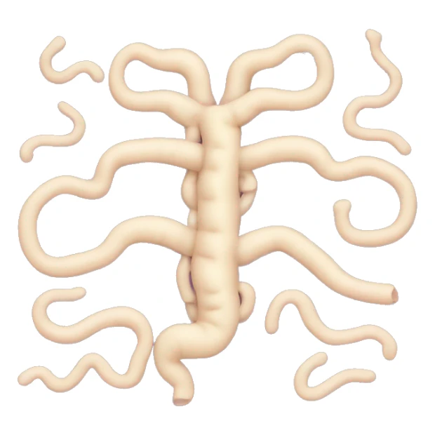 intestinal tract  sticker