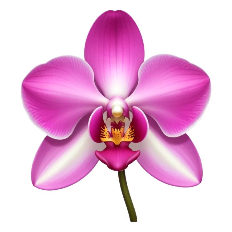 exquisite-phalaenopsis-moth-orchid-with-pure-white-petals-and-subtle-pink-center sticker