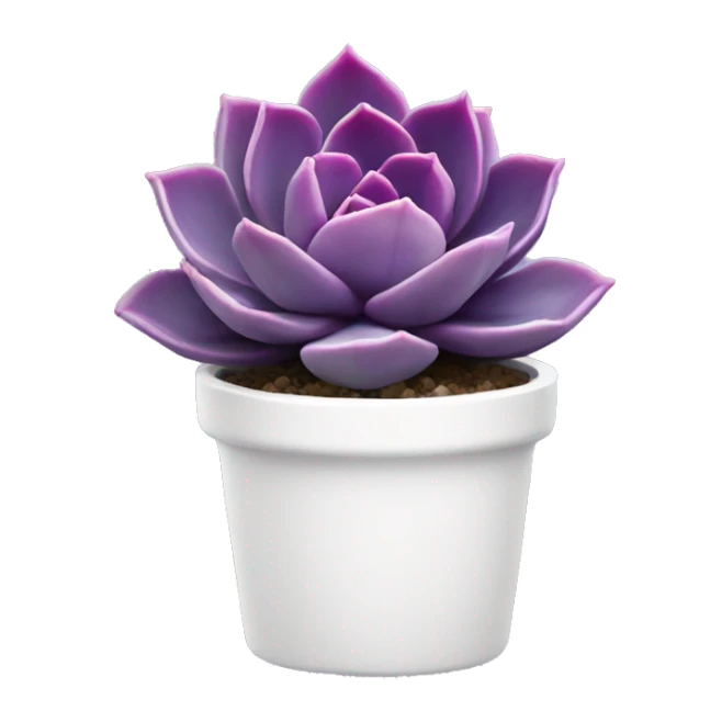 Purple echeveria succulent in white pot sticker