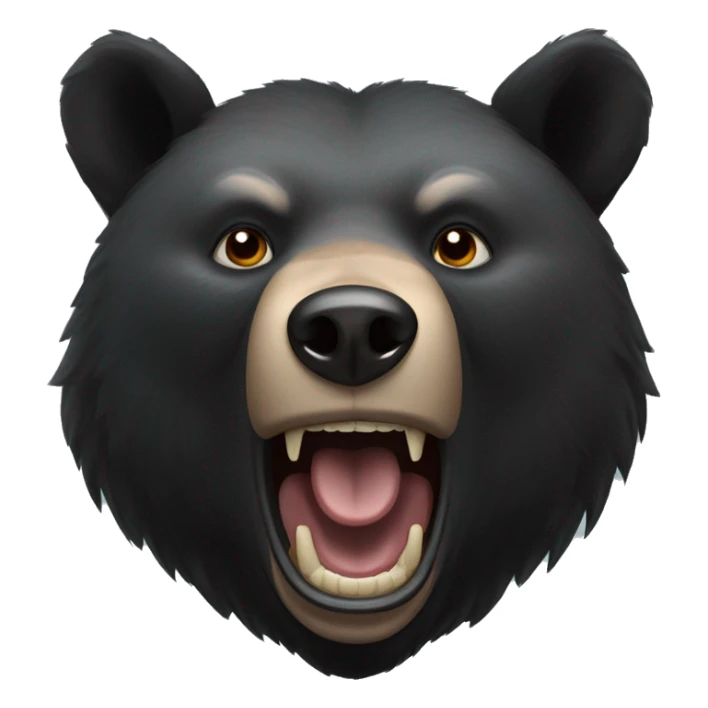 The fierce expression of a black bear  sticker
