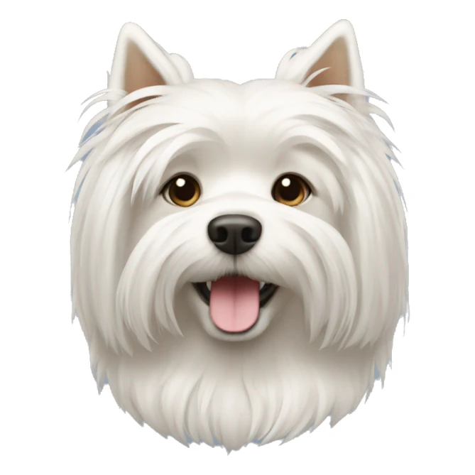white long hair dog crested malt sticker