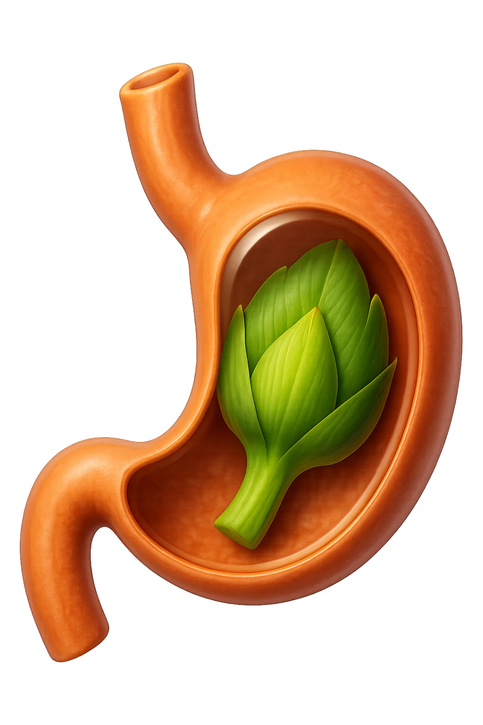 emoji stile iphone 3d di uno stomaco umano con una foglia di carciofo dentro, iperrealistico 4k sticker