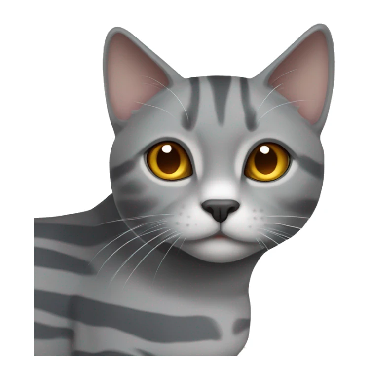 Grey cat with white stripes with amber eyes Scottish breed sticker