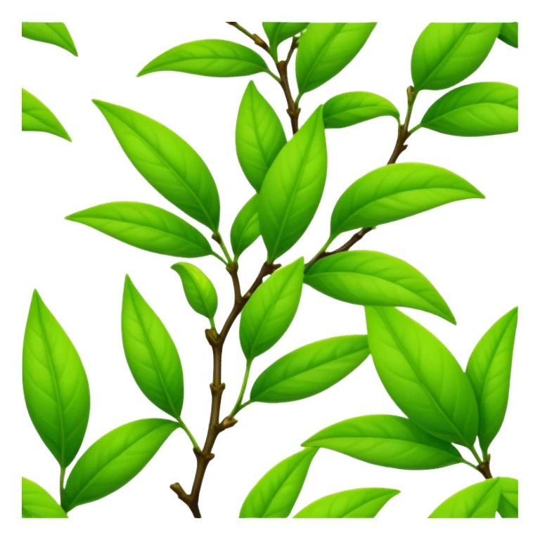Fresh green tea buds with young tender leaves sticker