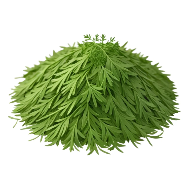 loose sprinkle of fine, feathery green herb flakes, dry airy texture, muted earthy green tones, delicate thread-like pieces, unevenly scattered, evoking dried dill leaves, soft lighting, subtle shadows, emoji scale sticker