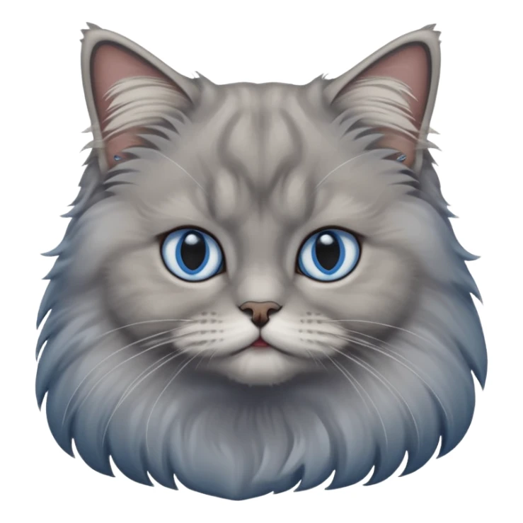 A cat which is a brittish longhair whit is gray color and hes eyes are blue sticker