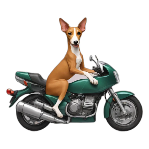 podenco on motorbike sticker