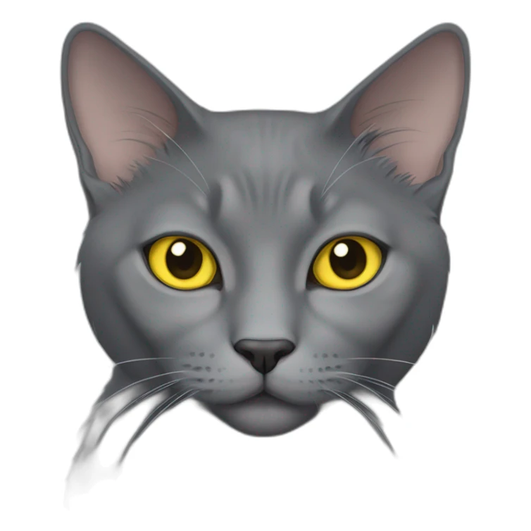 fluffy grey korat breed cat with yellow eyes black pupils, sleeping female sticker
