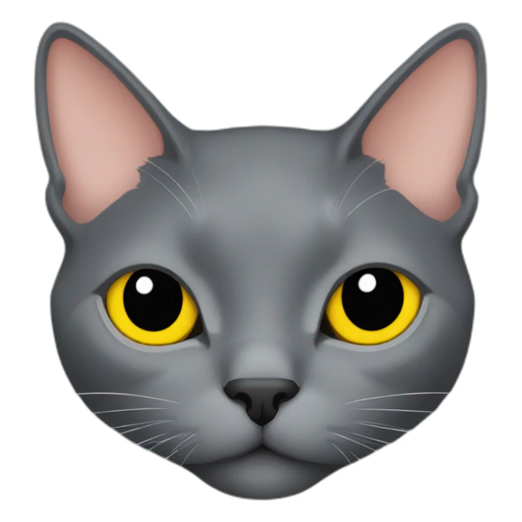 korat grey cat head with yellow eyes and black public sticker