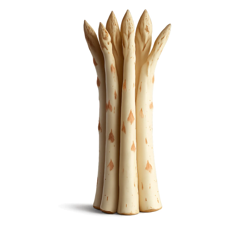 Realistic style white asparagus with transparent background, no background visible, photorealistic details, natural colors and textures. sticker