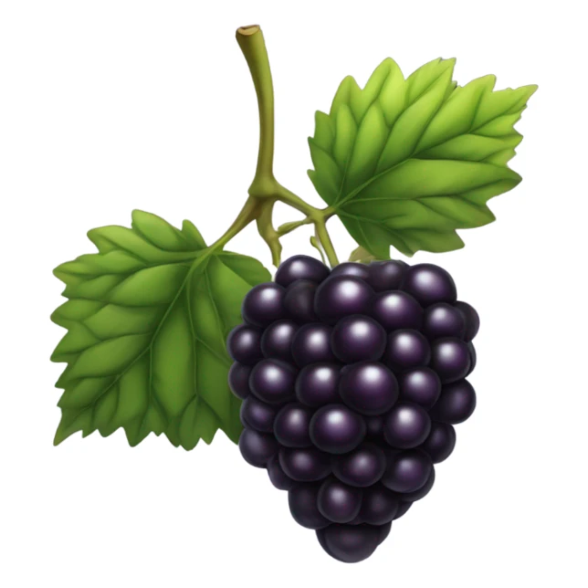 blackberry sticker