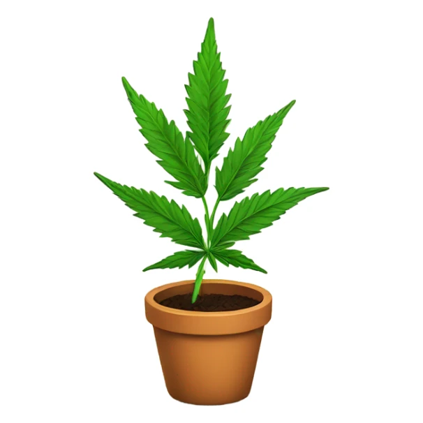 Cannabis plant in a pot sticker