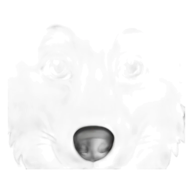 black wolf, green eyes sticker