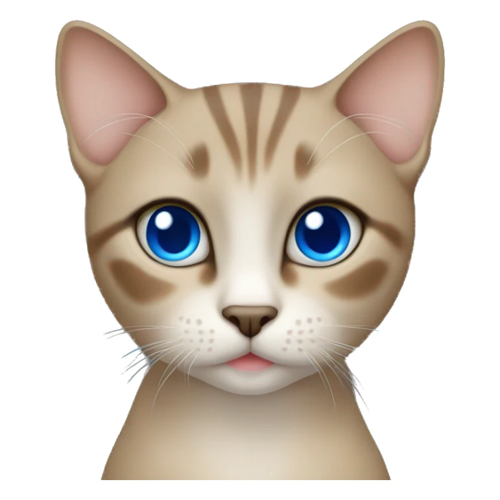 Dark Brown face - beige body thai female cat with blue eyes  sticker