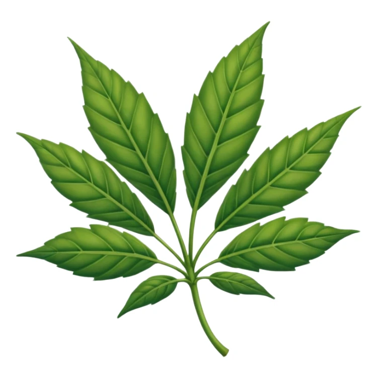 Hoja de mariguana Hoja de mariguana sticker