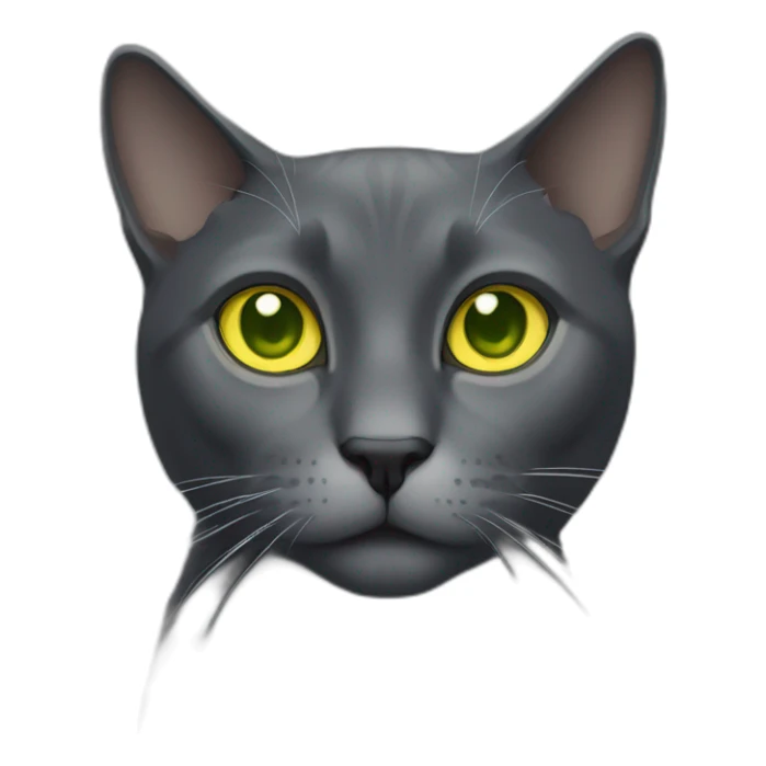 Dark gray cat with yellow-green eyes and white point on neck sticker