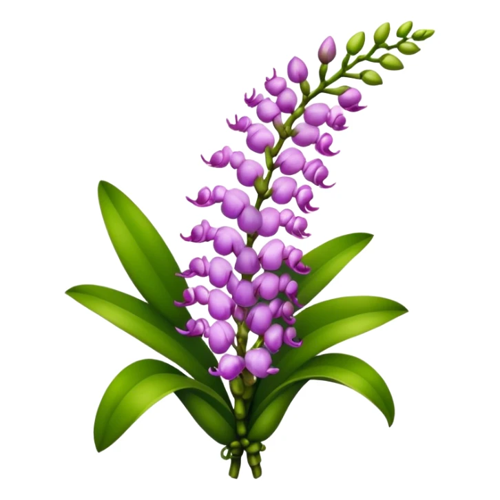 luxuriant bouquet Rhynchostylis Orchid, stem, leaf sticker