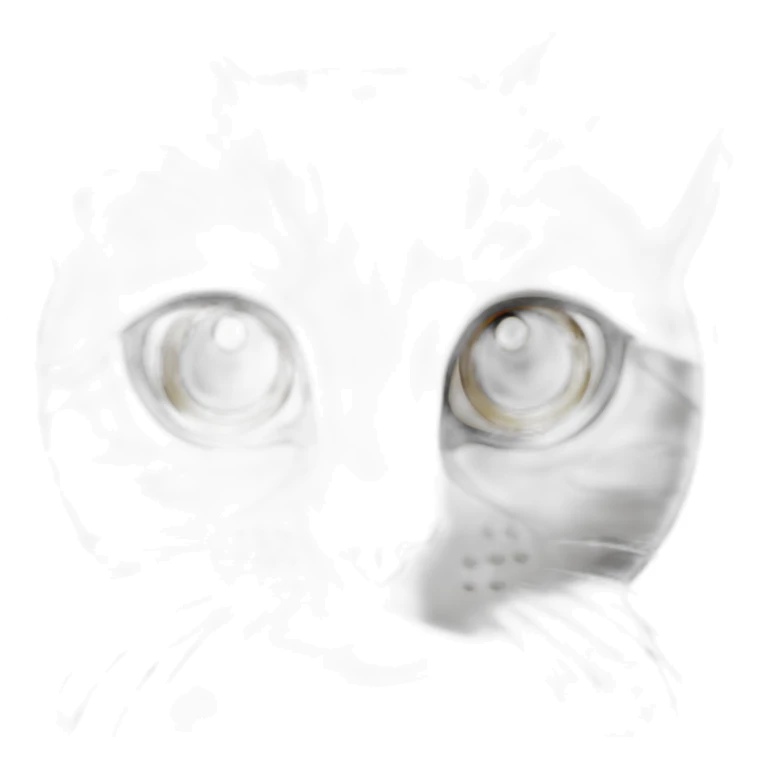 White and grey stripes cat big eyes sticker
