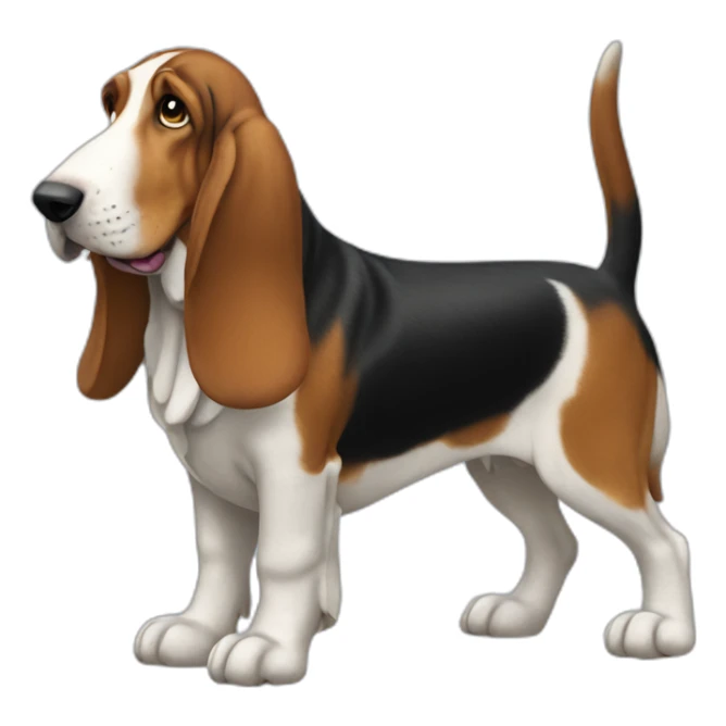Dog basset hound full-body sticker