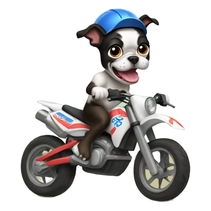 Boston terrier riding dirt bike sticker