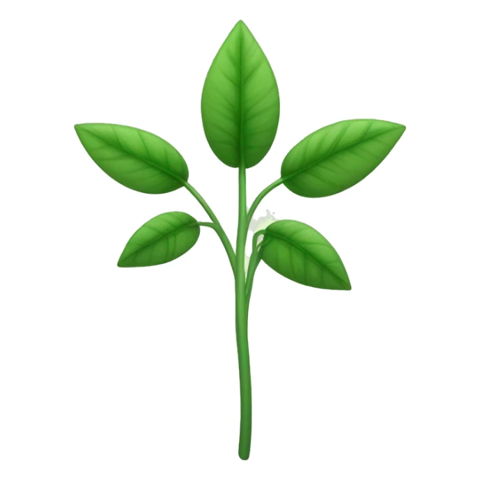  a plant with a thin, slightly hairy green stem. The leaves are oval, pointed, slightly serrated, and dark green in color. They are arranged in opposite pairs along the stem. sticker