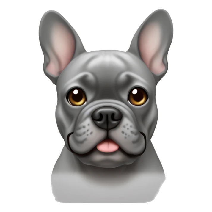 gray french bulldog sticker