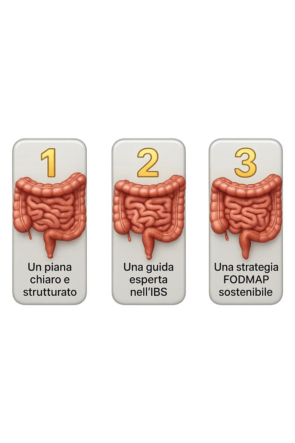 emoji stile iphone di 3 targhette numerate con intestino realistico davanti ad ogni targhetta, le targhette sono:
"1 – Un piano chiaro e strutturato
2 – Una guida esperta nell’IBS
3 – Una strategia FODMAP sostenibile"
, iperrealistico 4k sticker