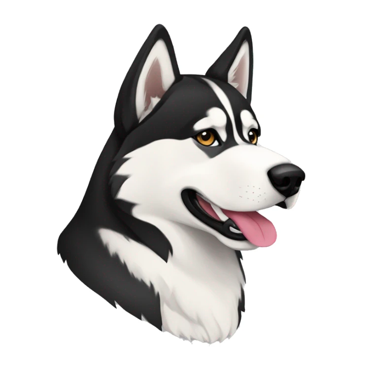 Perro husky siberiano con color banco y negro  sticker