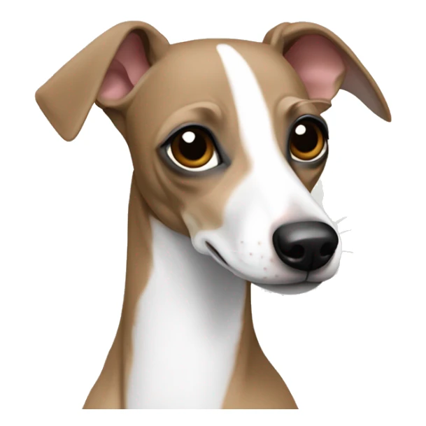 Italian greyhound fawn and white  sticker