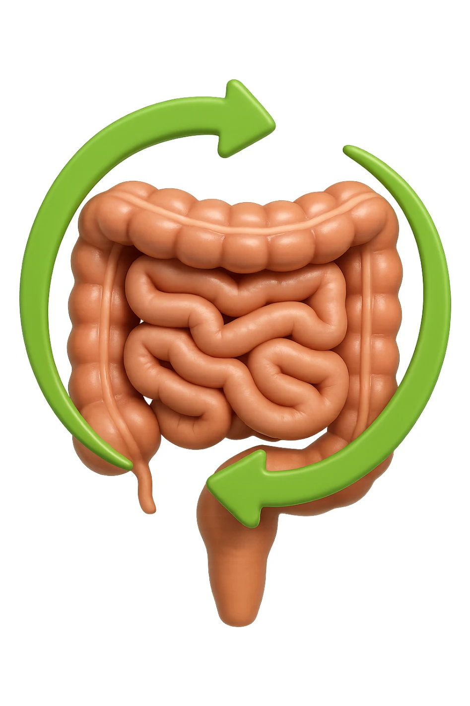 emoji 3d stile iphone di un intestino che si rigenera 3d sticker