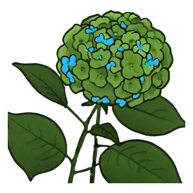 Green hydrangeas sticker