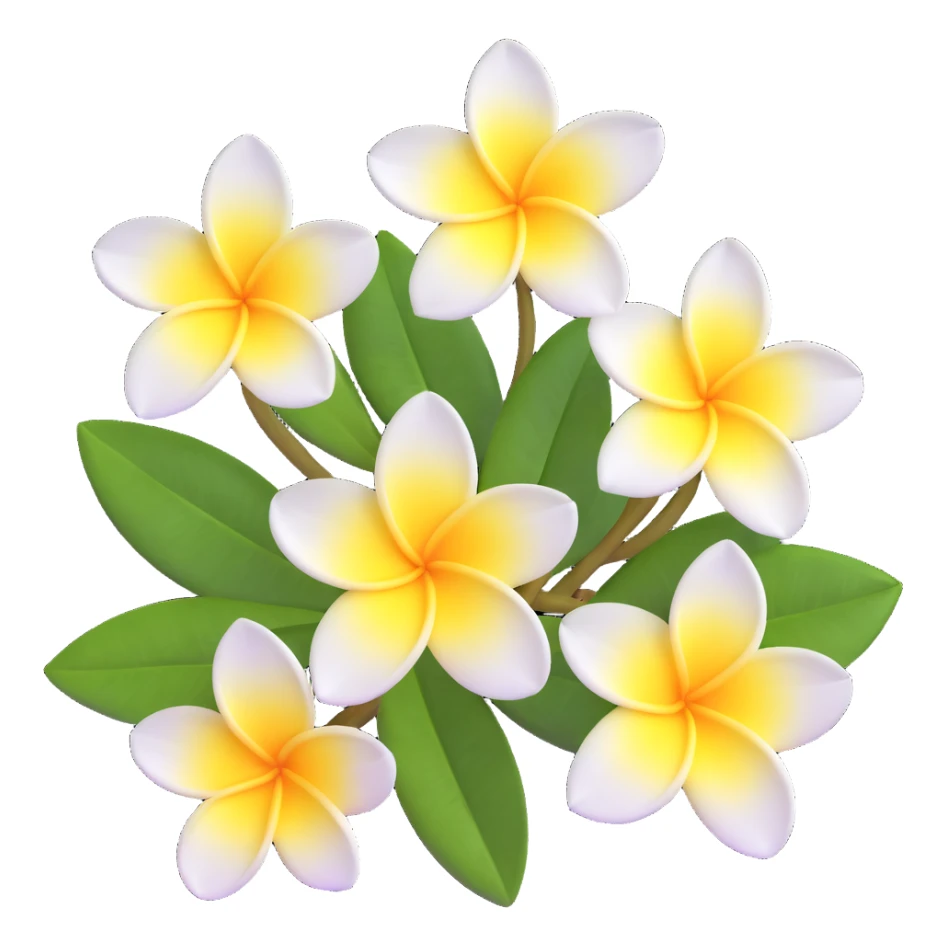 plumeria flower with five white petals and yellow center sticker