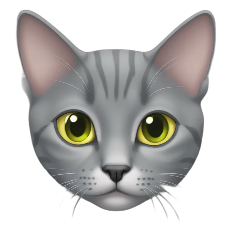 fully grey american short hair cat cute yellowgreen eyes sticker