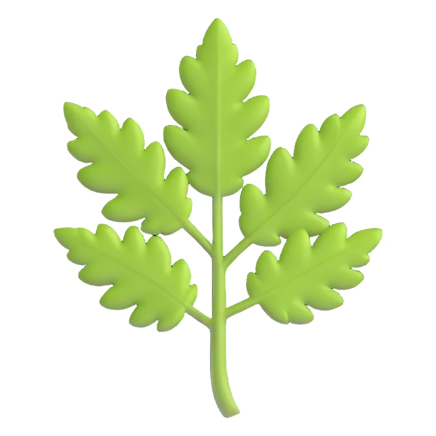 cilantro leaf, clean, minimal, cute, well-lit, soft shadow, white background sticker