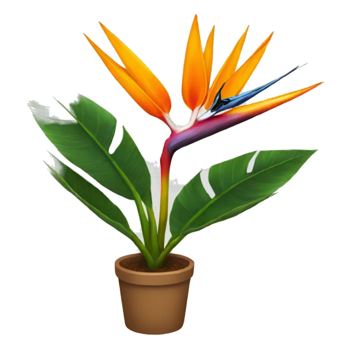 Bird of paradise plant sticker