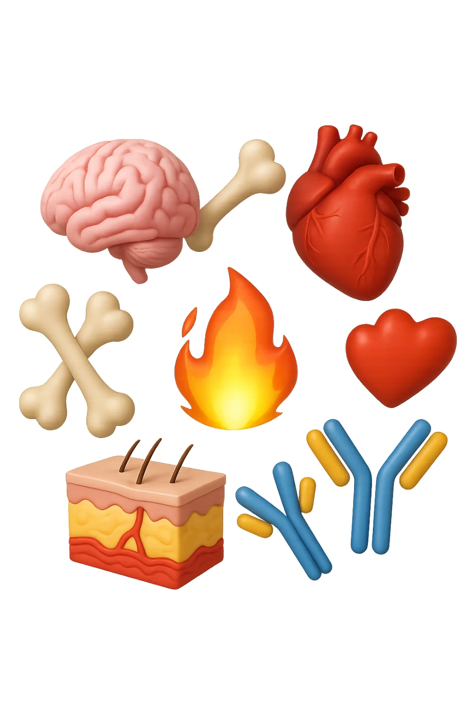 EMOJI STILE IPHONE 3D DI cervello, ossa, cuore, porzione di epidermide e cellule di anticorpi che girano in tondo, al centro di questi elementi c'è una fiamma 3d  FALLO MOLTO REALISTICO IN 3D sticker
