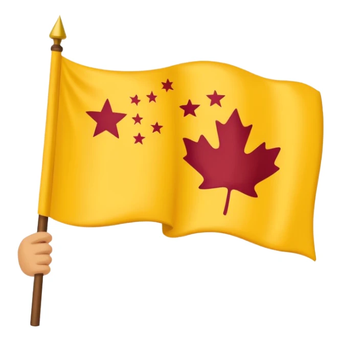 Chinar flag it has 80,000 stars and a hand sticker
