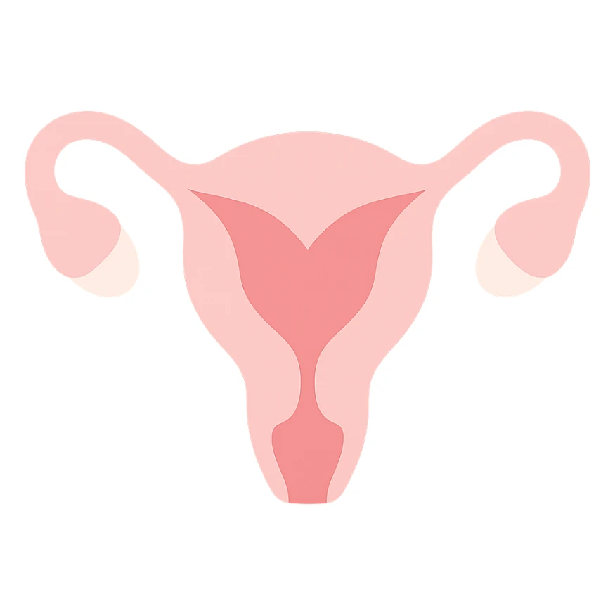 A clean, minimalistic vector illustration of a simplified uterus icon, designed as a stylized flower or heart shape with upward-sweeping fallopian tube 'horns'. Use smooth, well-defined lines with a modern flat design. Apply soft inner shadows and subtle highlights to give depth and gloss without breaking the flat aesthetic. Keep the design centered, symmetrical, and elegant. Transparent background. Color palette: soft pinks, muted reds, and gentle white highlights sticker