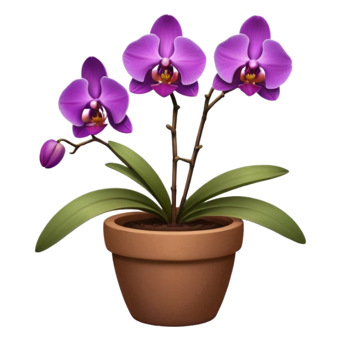 Purple Orchid in a clay pot sticker