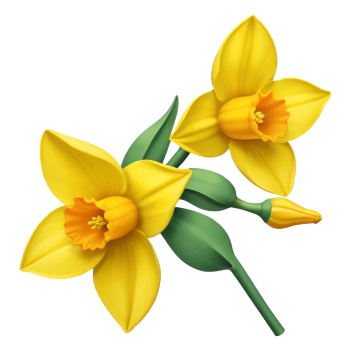 Daffodil sticker