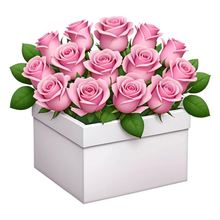 bouquet of pink 30 roses in a white box，no sticker