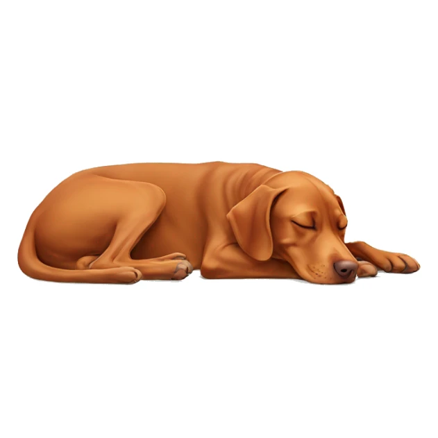 Vizsla sleeping sticker