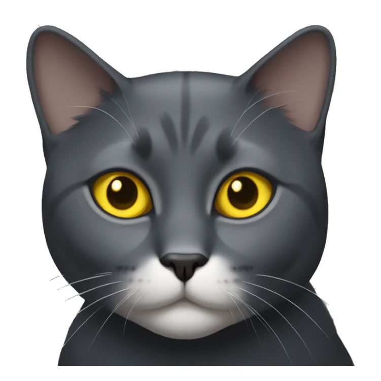 Dark Gray cat with yellow eyes and a small white patch only on chest sticker