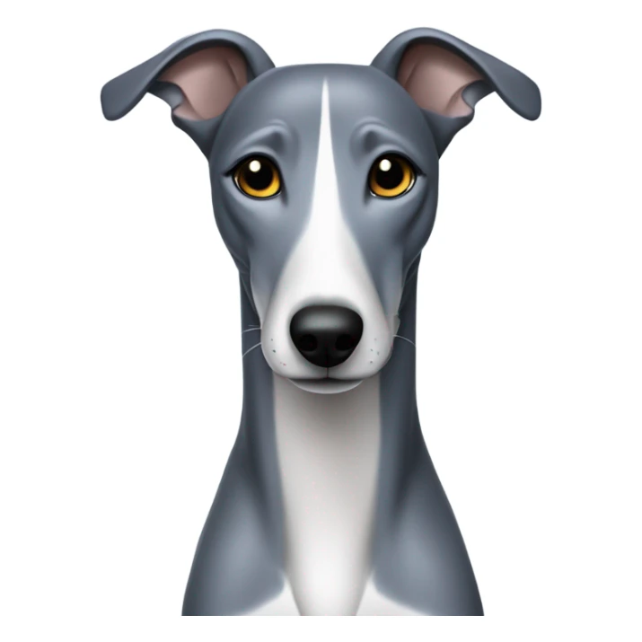 Blue whippet with no white mark sticker