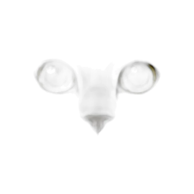 British longhair cat green eyes sticker