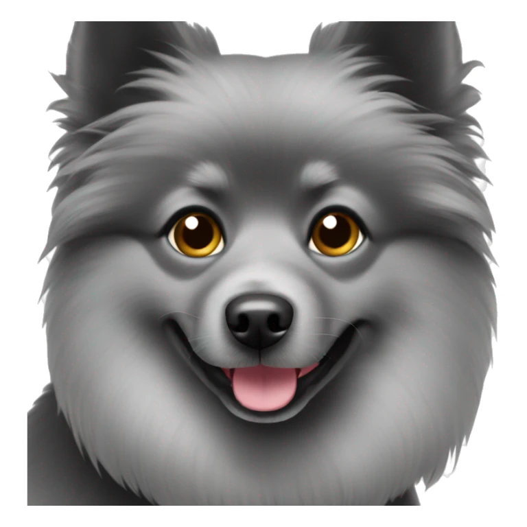 Black colored spitz Dog breed with cute eyes  sticker