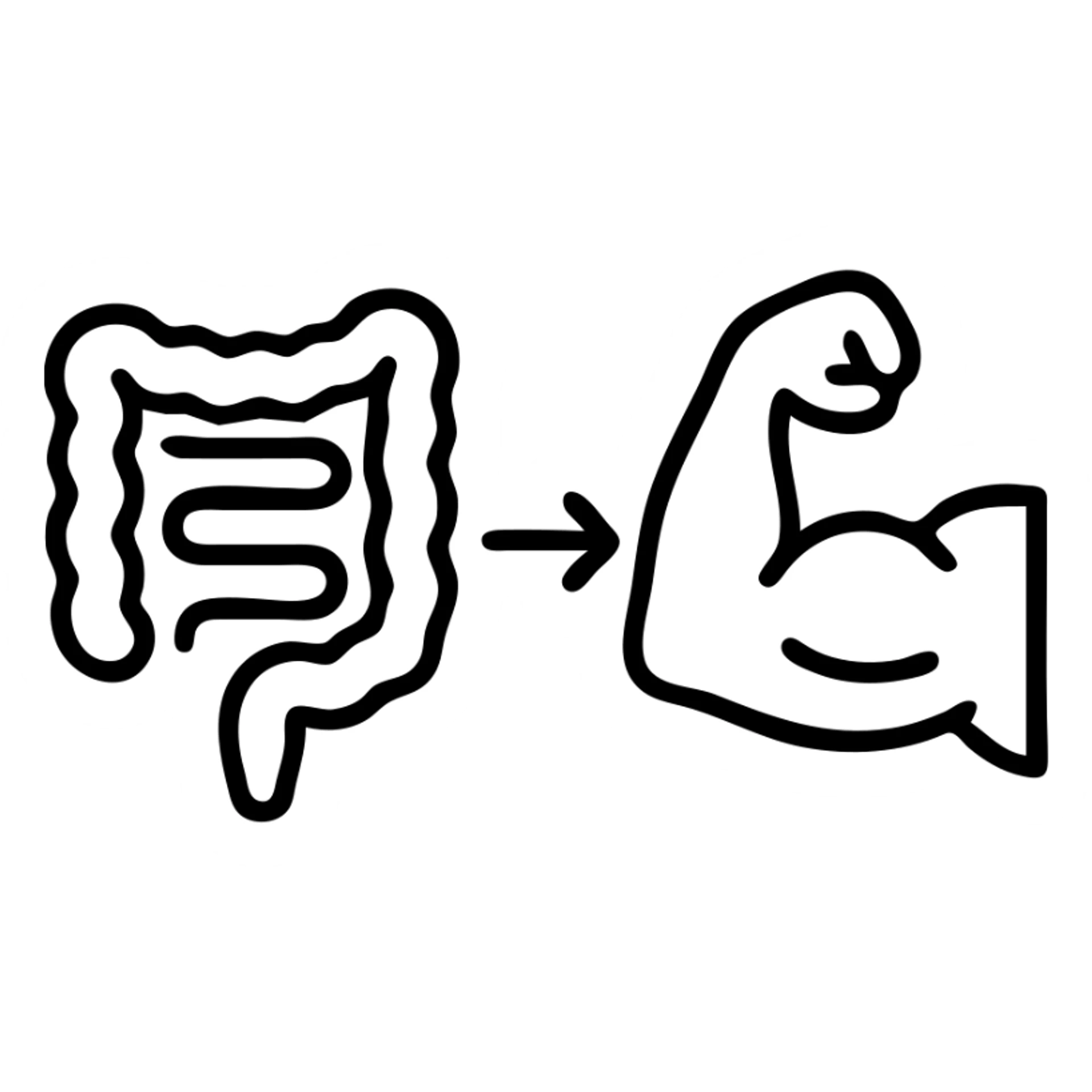 simple, clear, and informative illustration of an intestine and a bicep side by side, connected by a line or arrow highlighting the connection between them, on a white background sticker