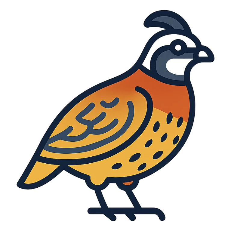 bobwhite quail, clean and modern color outline icon style sticker
