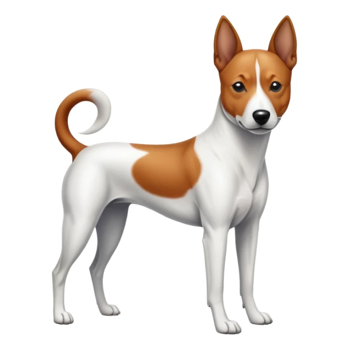 chien basenji blanc avec taches noires sticker