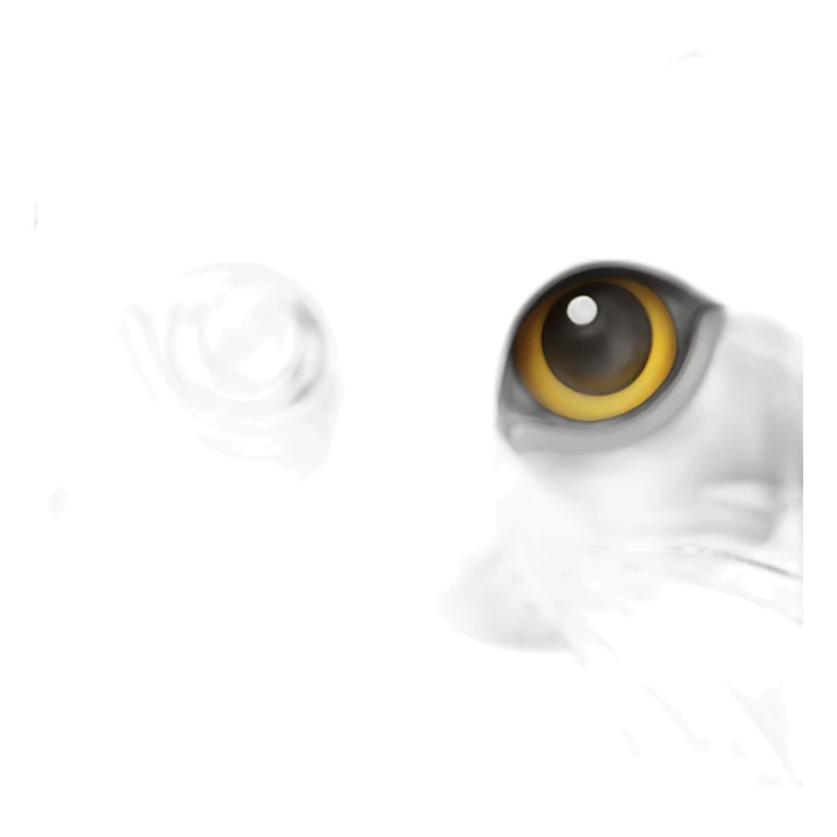 Gato gris ojos amarilloso  sticker